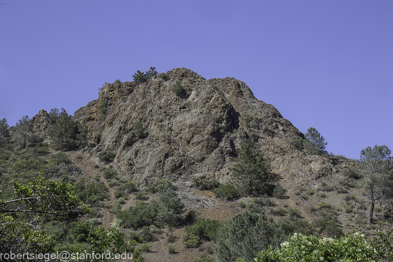 mount diablo